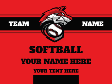 Picture of Softball 2