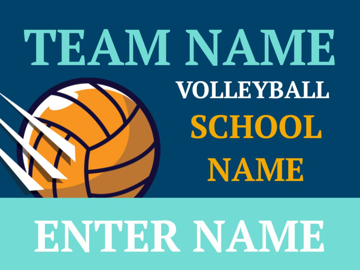 Picture of Volleyball 1