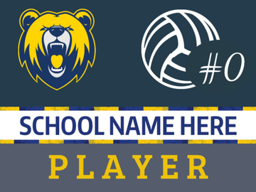 Picture of Volleyball 2