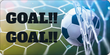 Picture of Sports 20