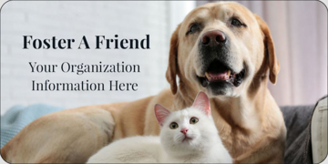 Picture of Non-Profit 10