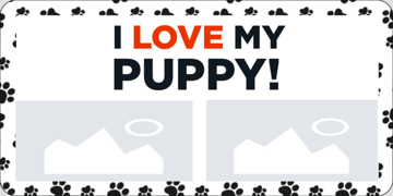 Picture of Picture 13