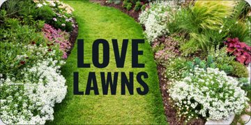 Picture of Company Cars 14