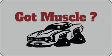 Picture of Car Shows 7