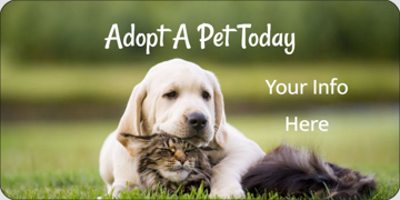 Picture of Events 42400176