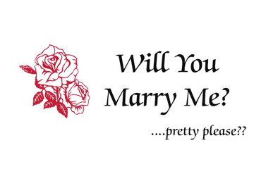 Picture of Wedding 15849471