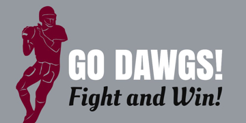 Picture of Football 16856524