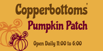 Picture of Halloween 16907865