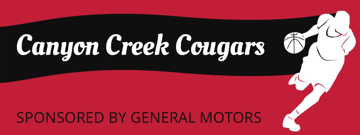 Picture of Sports Mesh Banners 831140964