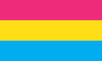 Picture of Pansexual Pride Flag