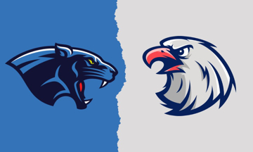 Picture of House Divided