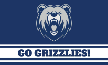 Picture of Sports Flag 1