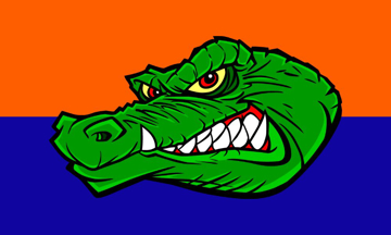 Picture of Sports Flag 2