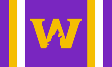 Picture of Sports Flag 5