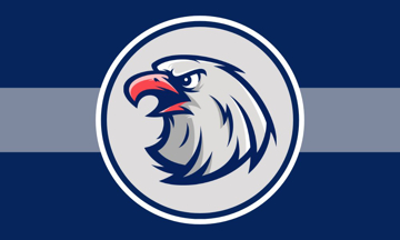 Picture of Sports Flag 6