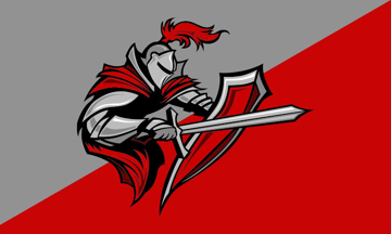 Picture of Sports Flag 7