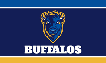 Picture of Sports Flag 8