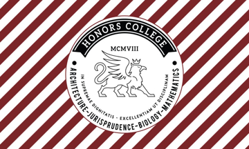 Picture of School Flag 2