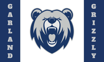 Picture of School Flag 3