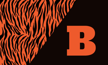 Picture of School Flag 5