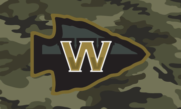 Picture of Novelty Flag 1