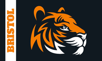 Picture of School Flag 6