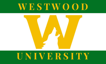 Picture of School Flag 8