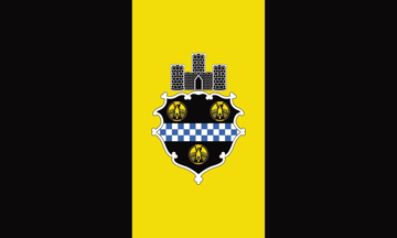 Picture of Pittsburgh, PA Flag
