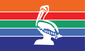 Picture of St. Petersburg, FL Flag