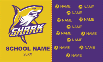 Picture of Breakaway Banner 19 - 6x10