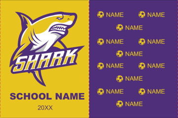 Picture of Breakaway Banner 19 - 10x15