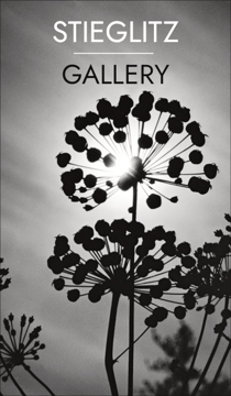 Picture of Events 42398785 - 81" x 47"