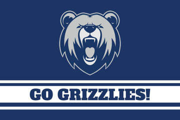 Picture of Sports Flag 1 - 2x3