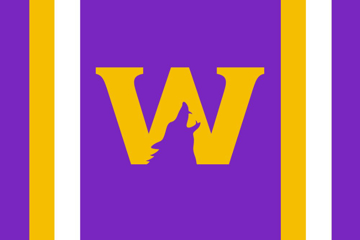 Picture of Sports Flag 5 - 2x3