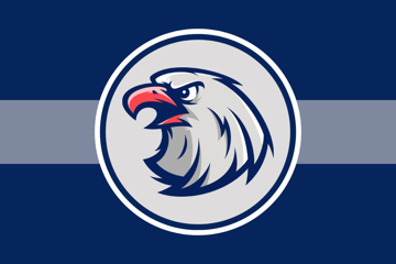 Picture of Sports Flag 6 - 2x3