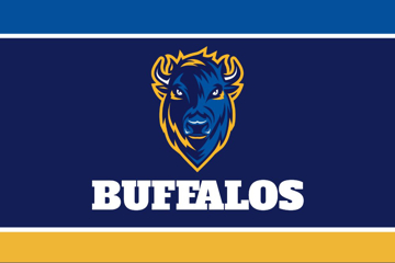 Picture of Sports Flag 8 - 2x3