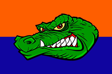 Picture of Sports Flag 2 - 4x6