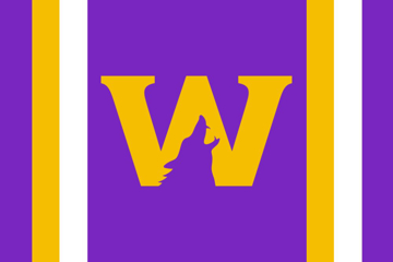 Picture of Sports Flag 5 - 4x6