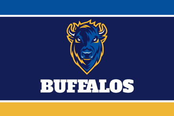 Picture of Sports Flag 8 - 4x6