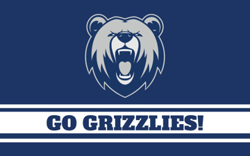 Picture of Sports Flag 1- 5x8