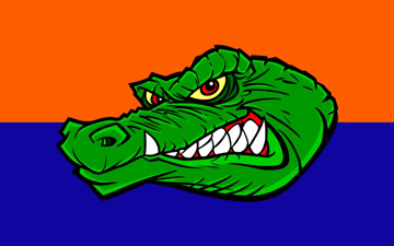 Picture of Sports Flag 2- 5x8