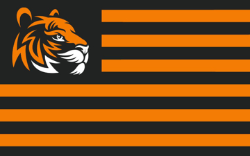 Picture of Sports Flag 4- 5x8