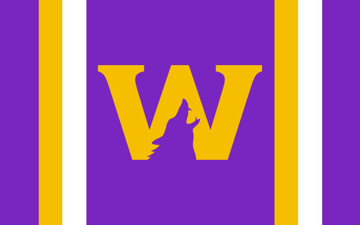 Picture of Sports Flag 5- 5x8