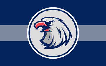 Picture of Sports Flag 6- 5x8