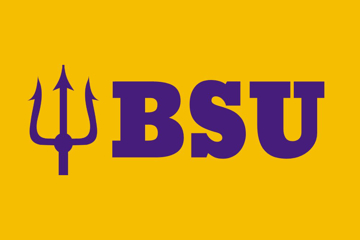 Picture of School Flag 7- 2x3