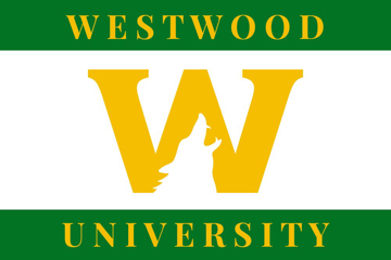 Picture of School Flag 8- 2x3