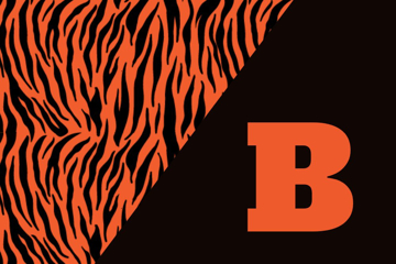 Picture of School Flag 5- 4x6