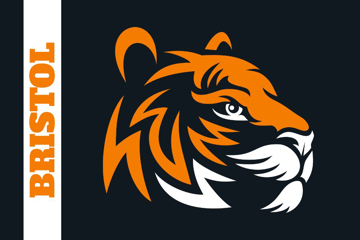 Picture of School Flag 6- 4x6