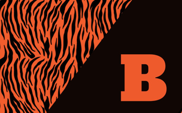 Picture of School Flag 5- 5x8