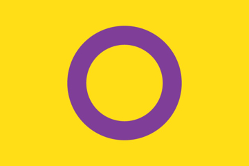 Picture of Intersex Pride Flag- 4x6